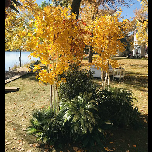 Outdoor Rent-A-Woods - Artificial Trees & Floor Plants - Fall Colors tree rentals for weddings 